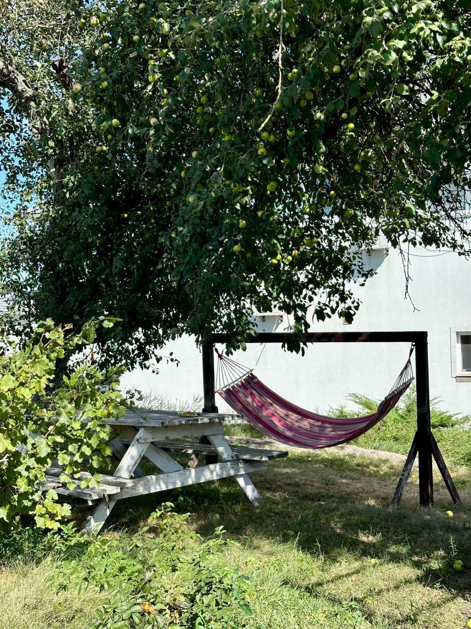 Maison Blanche Ecohousе Mytnitsa Dış mekan fotoğraf