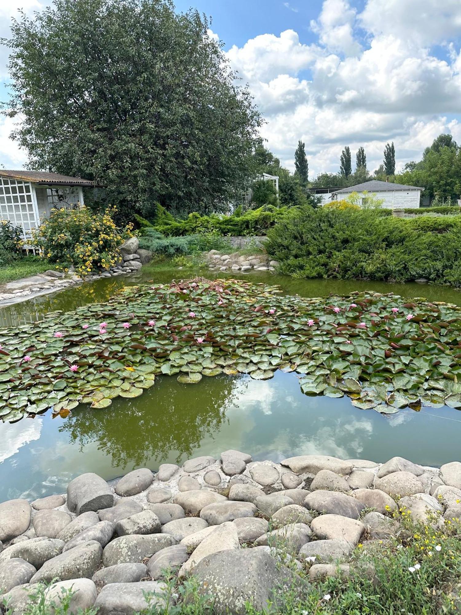 Maison Blanche Ecohousе Mytnitsa Dış mekan fotoğraf