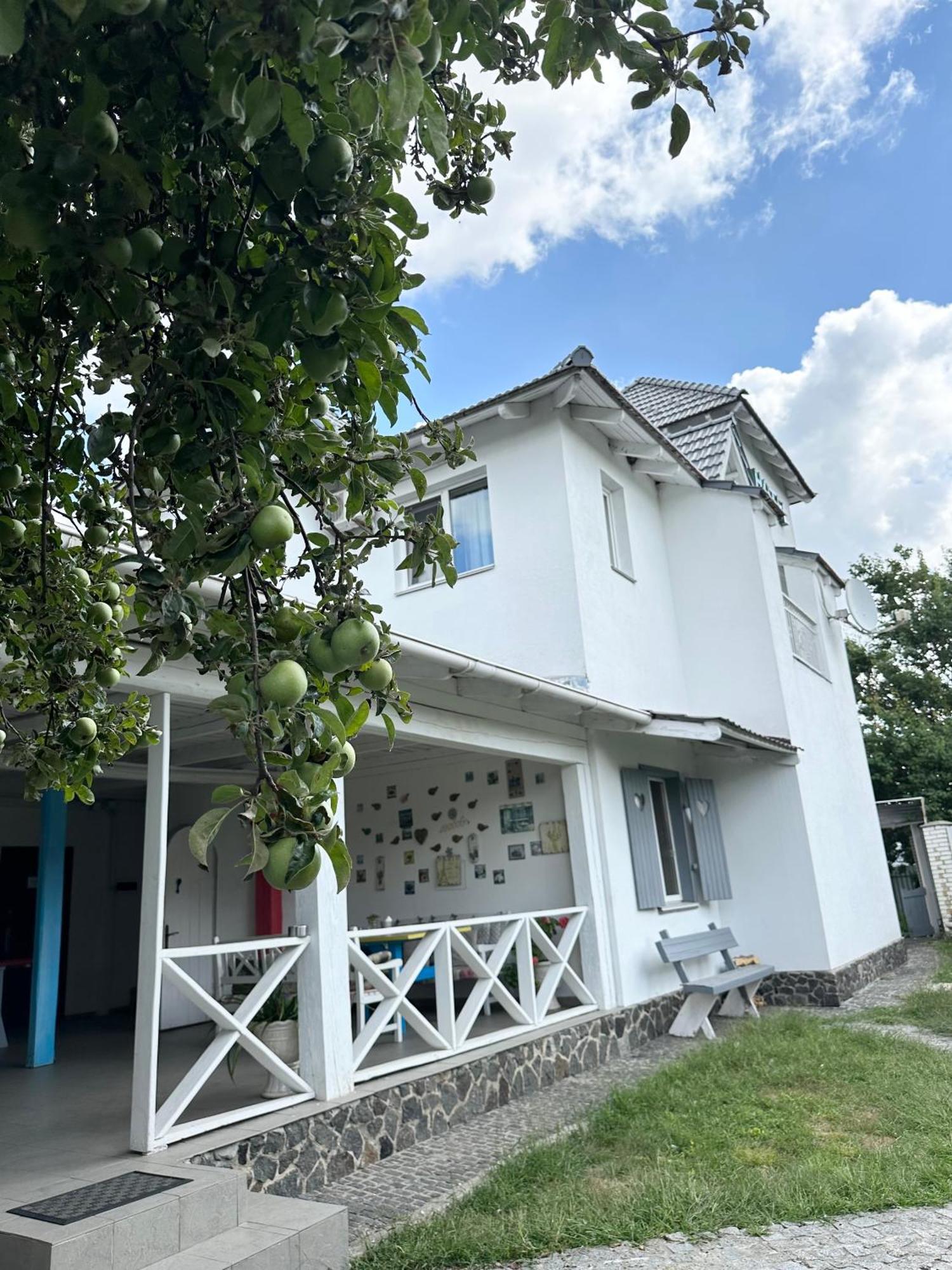Maison Blanche Ecohousе Mytnitsa Dış mekan fotoğraf