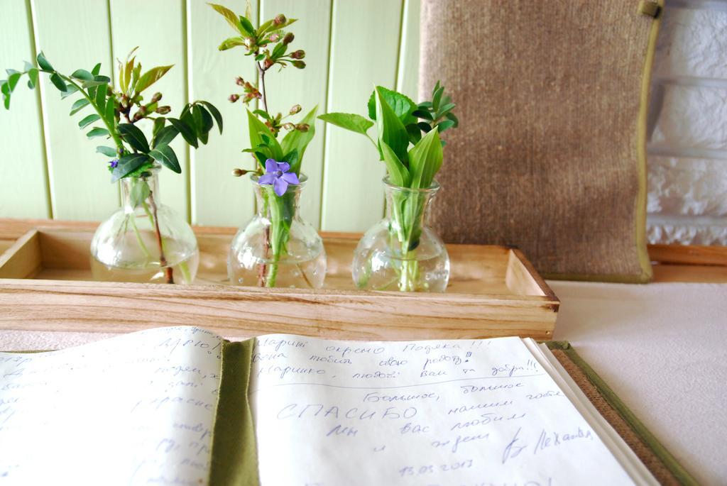 Maison Blanche Ecohousе Mytnitsa Dış mekan fotoğraf